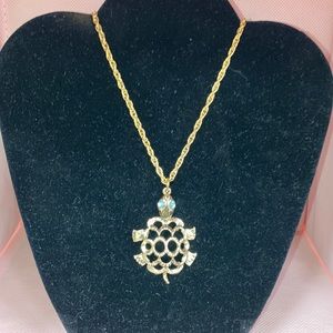 Turtle and Chain
